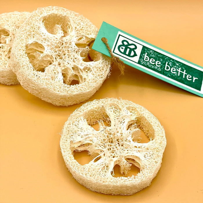 Luffa-Scheibe (Shampoo und Seifenablage)