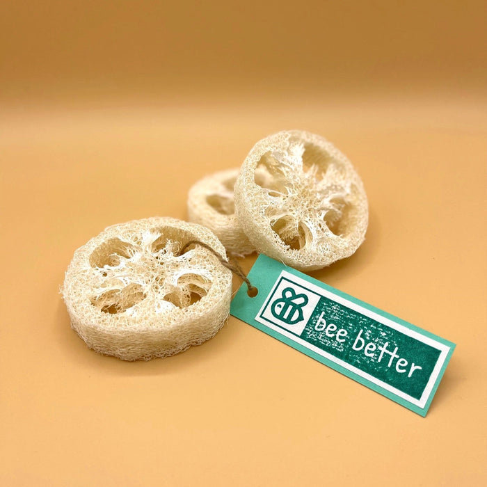3 Stk. Luffa-Scheibe (Shampoo und Seifenablage)