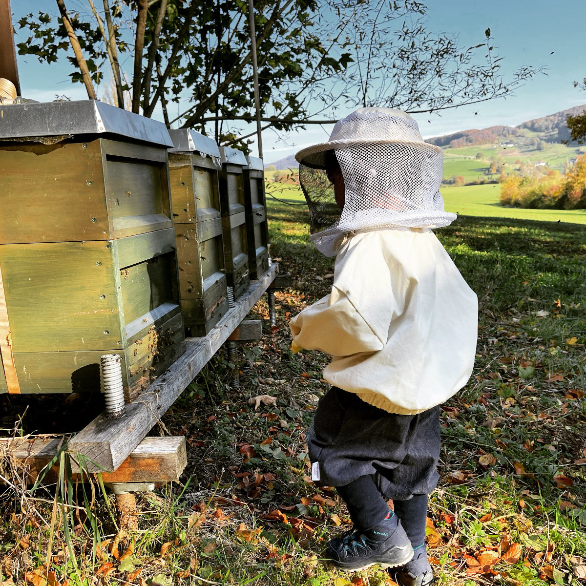 🌿 Heute & Ausblick