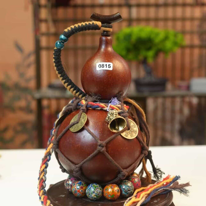 Handgefertigte Kürbisflasche - 0815