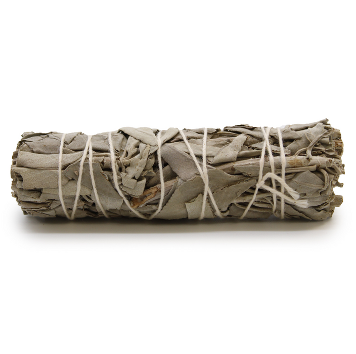 Dream Sage Smudge Stick 10 cm – Weisser Salbei