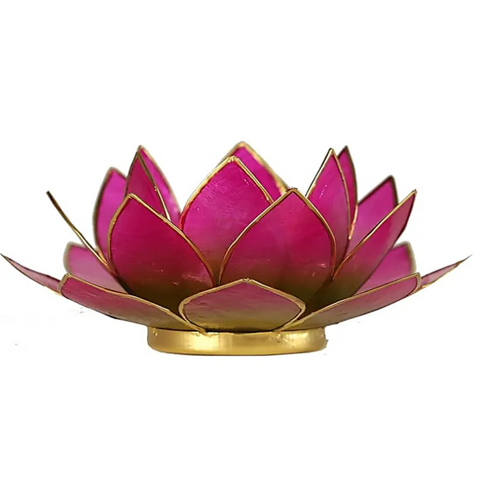 Lotus Kerzenhalter aus Capiz Muschel - grün, pink