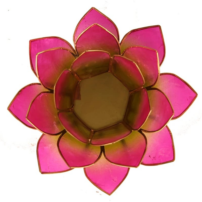 Lotus Kerzenhalter aus Capiz Muschel - grün, pink