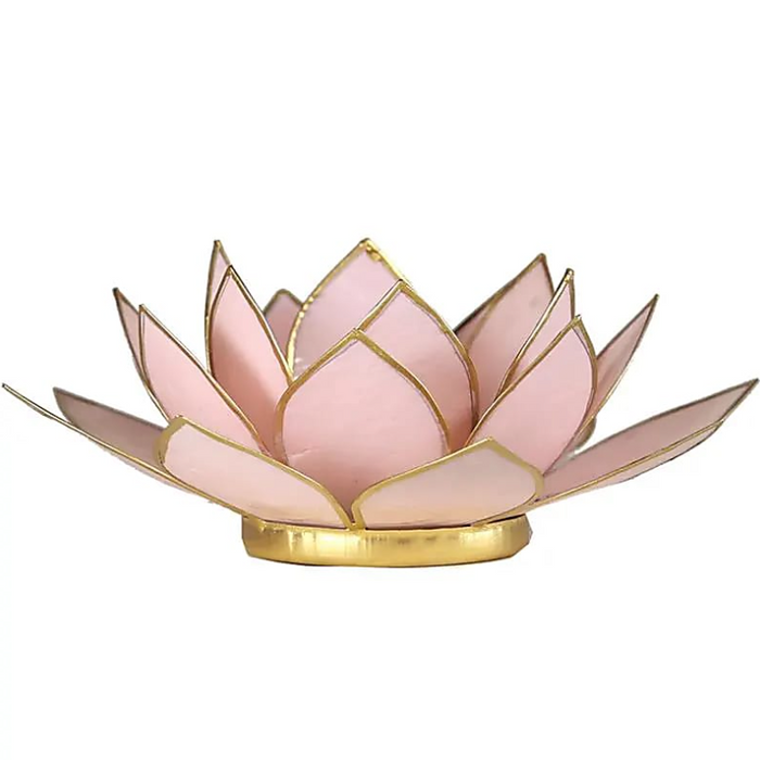 Lotus Kerzenhalter aus Capiz Muschel - pastell pink
