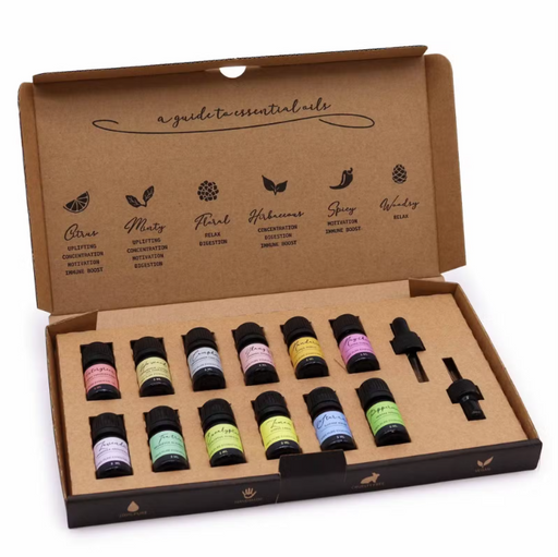 Aromatherapie-Set Duftreise mit 12 ätherischen Ölen à 5 ml und zwei Pipetten in einer Geschenkverpackung